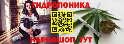 PSILOCYBIN Северобайкальск