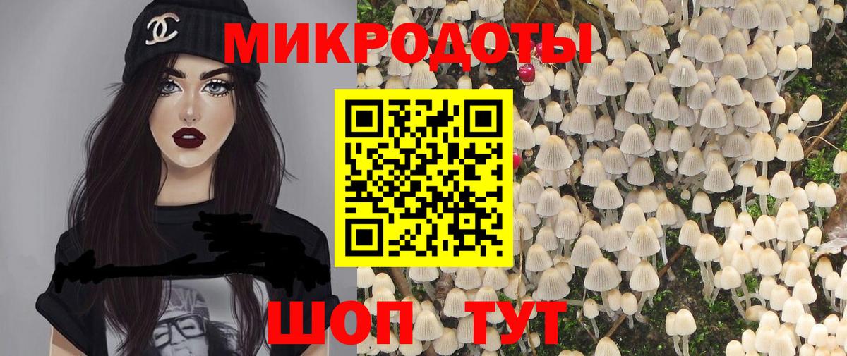 Галлюциногенные грибы Cubensis Ноябрьск