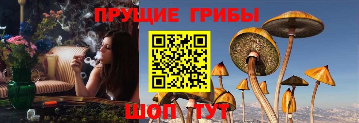 хочу наркоту  Псилоцибиновые грибы MAGIC MUSHROOMS  Вход с VPN  Ноябрьск 